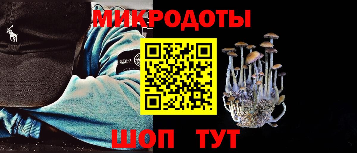 Псилоцибиновые грибы Psilocybe  Псилоцибиновые грибы Psilocybine cubensis  где купить наркотик  Нарткала  Вход с VPN 